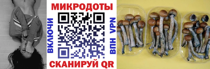 Купить закладки  Белёв  Галлюциногенные грибы Psilocybe 